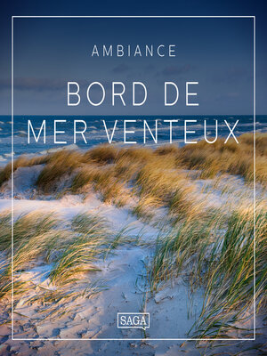 cover image of Ambiance: Bord de mer venteux